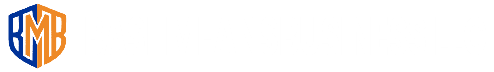 BASHMEANSBUSINESS LLC